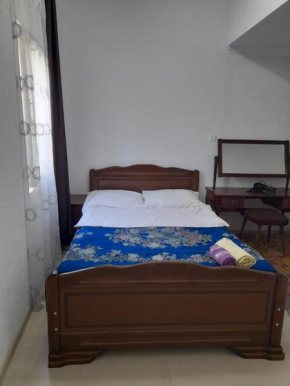 Guesthouse Borjomi